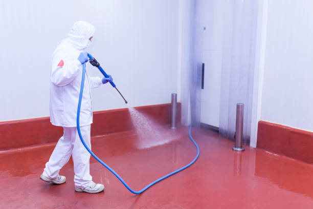 Best Parking Lot and Garage Cleaning  in West Sayville, NY